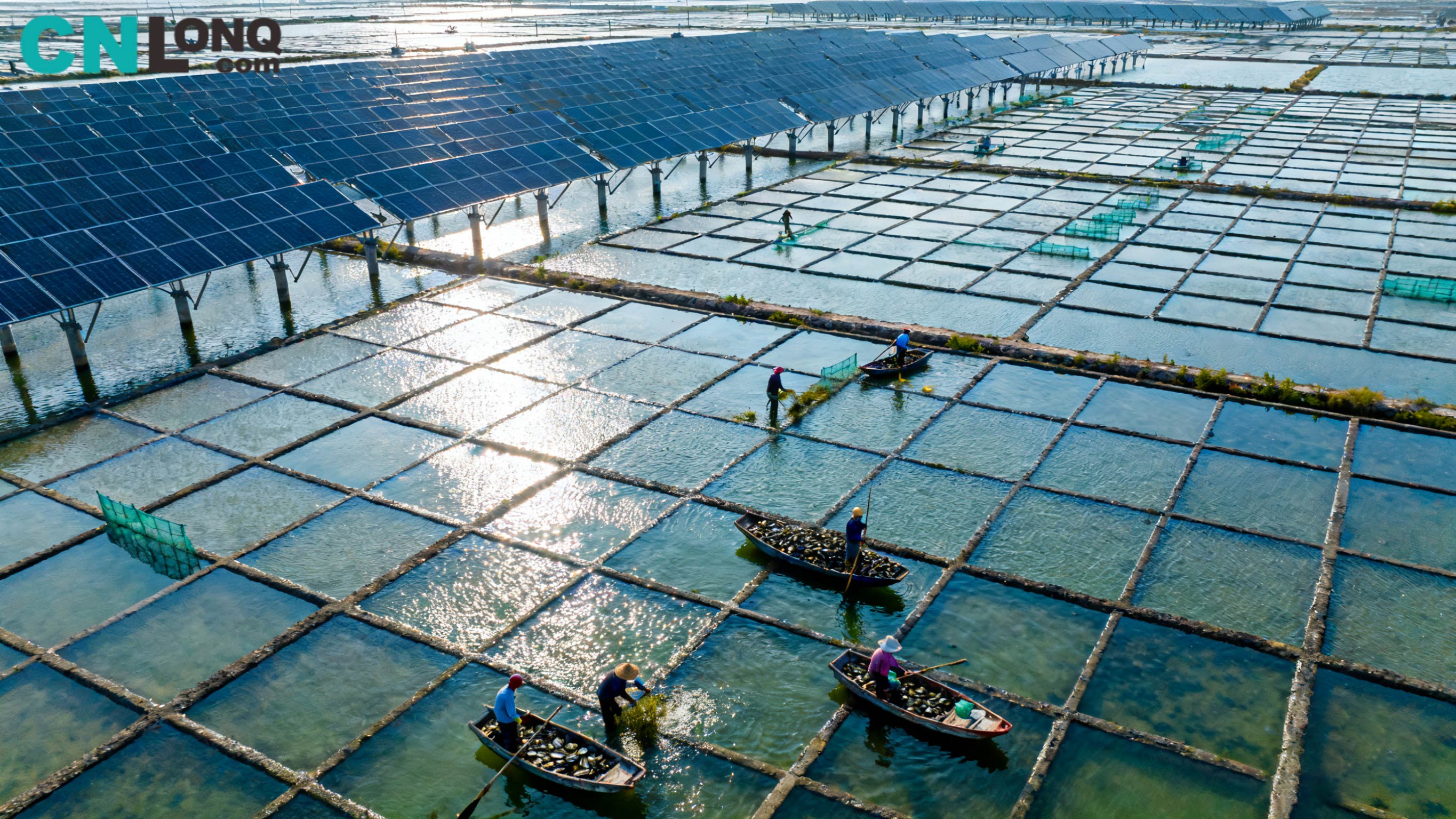 RMB 1.2 بلین کی کل سرمایہ کاری! XINDAO Qungkou نمک فیلڈ 250MW 